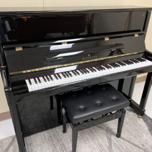 2009 Brodmann 49" Professional Upright in Ebony, with adjustable bench